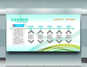 企业发展历程