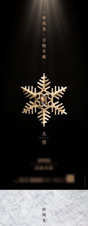 大雪节气海报花房地产黑金二十四