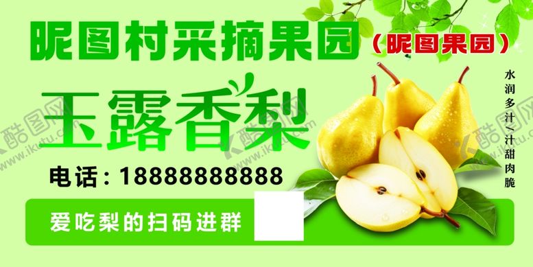 编号：80292211020110333424【酷图网】源文件下载-玉露香梨