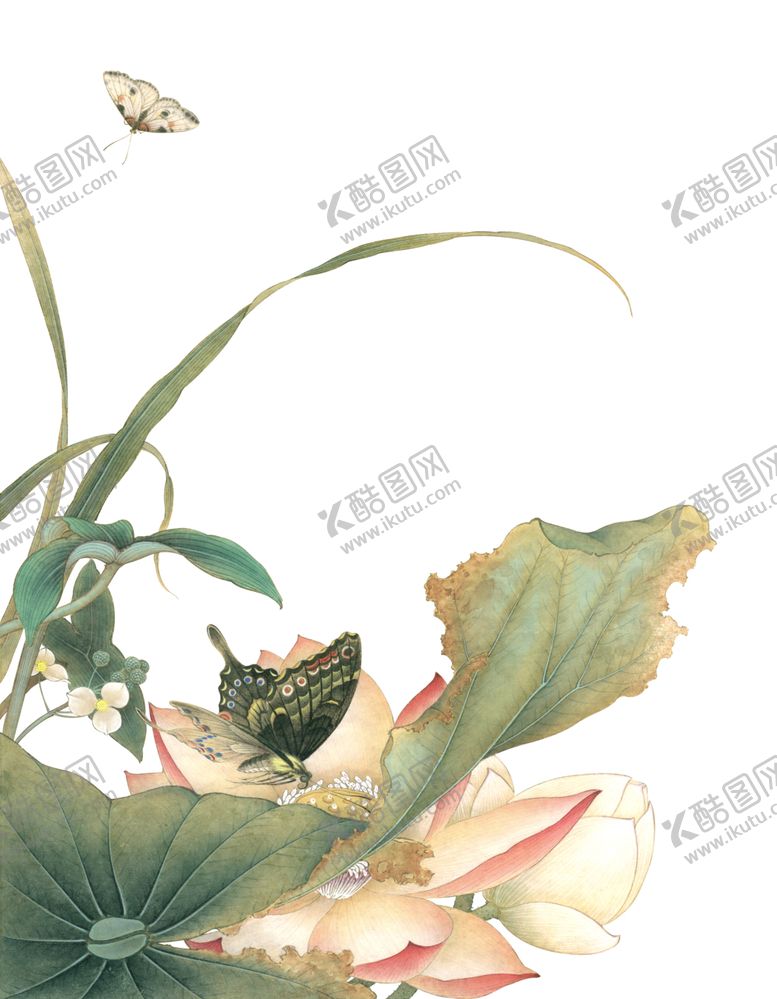 编号：11979410262157318953【酷图网】源文件下载-荷花
