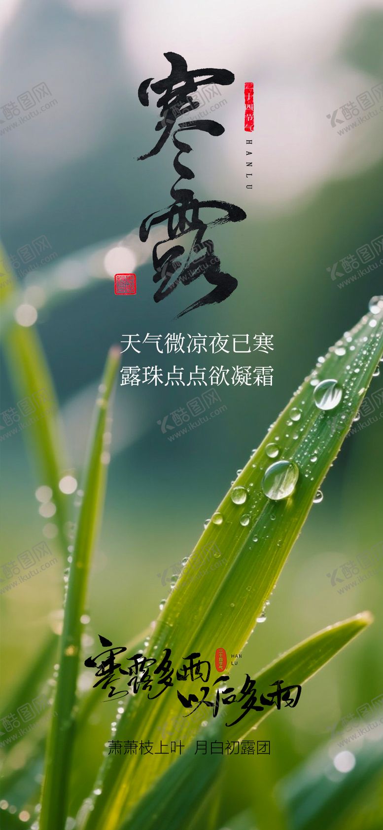 编号：31525309271912423671【酷图网】源文件下载-寒露海报