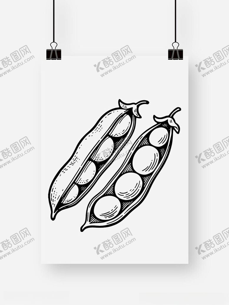 编号：40277609250320248143【酷图网】源文件下载-豆荚豌豆