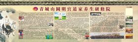 养生文化