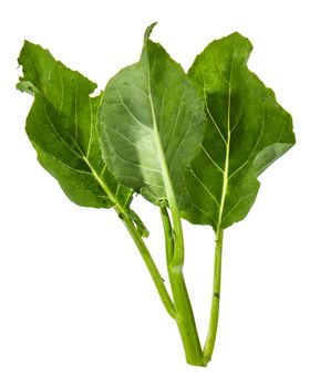 蔬菜芥兰农作物菜