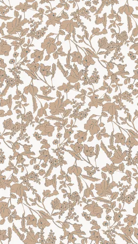 矢量叶子花杏色叶子