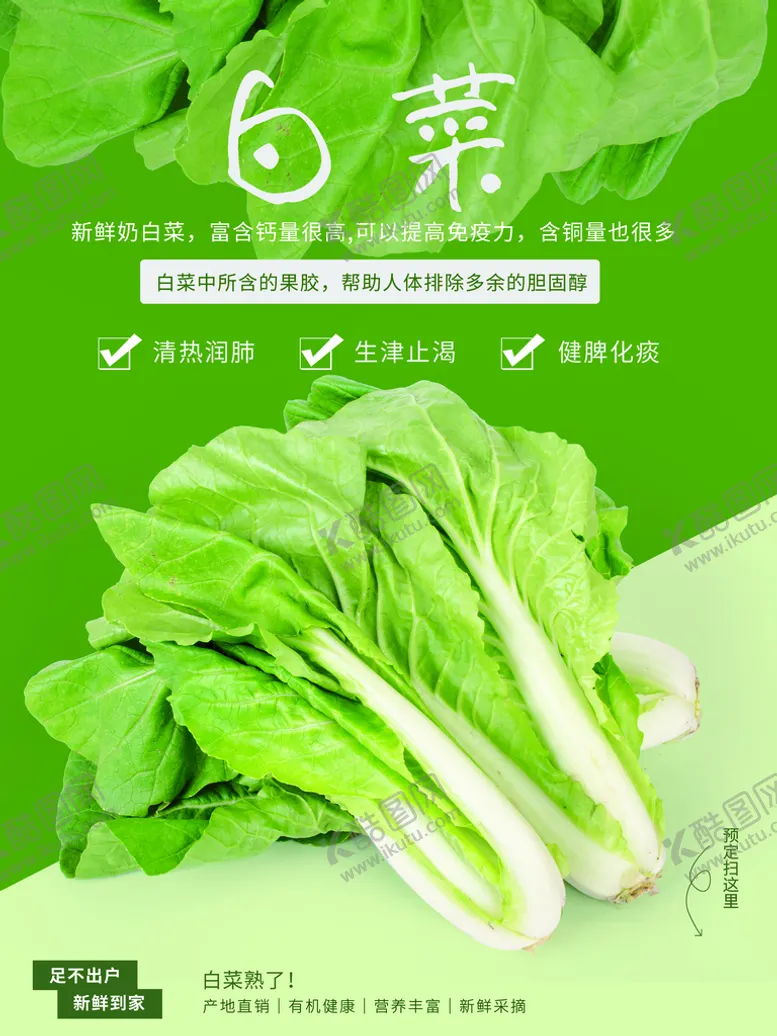 编号：62348109270357216409【酷图网】源文件下载-白菜