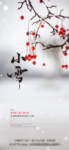 小雪节气海报地产简约意境二十四