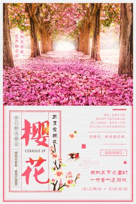 樱花节
