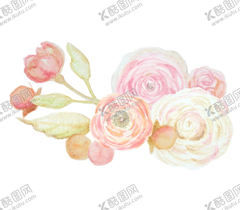 编号：51271510140528139175【酷图网】源文件下载-玫瑰花装饰素材