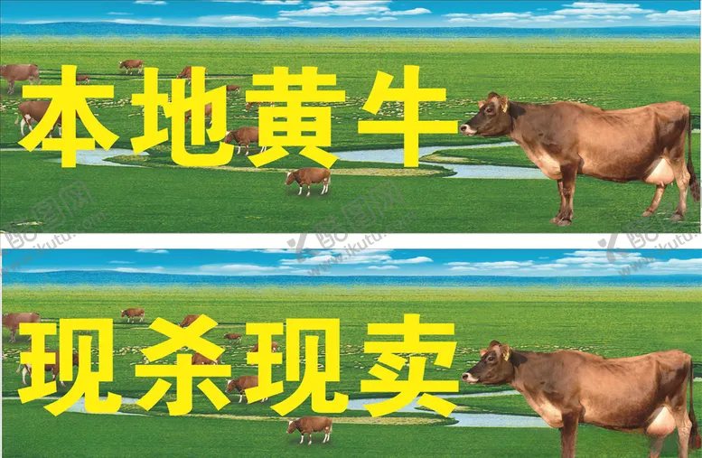 编号：38074106242027169553【酷图网】源文件下载-黄牛背景