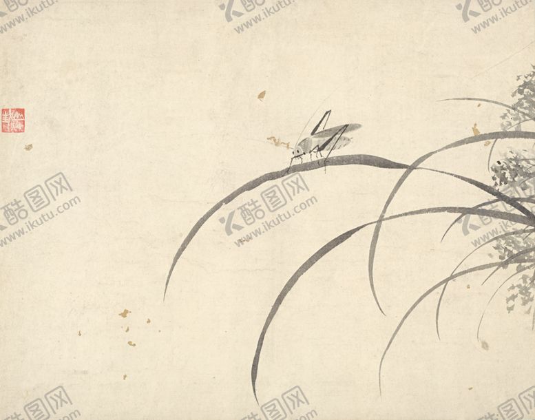 编号：17180710311704407986【酷图网】源文件下载-植物花朵工笔画