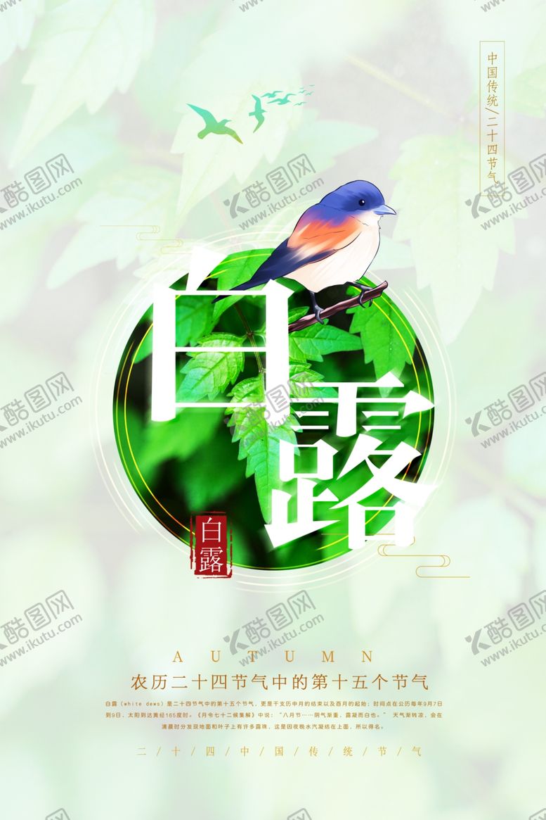 编号：36125009190838182169【酷图网】源文件下载-白露