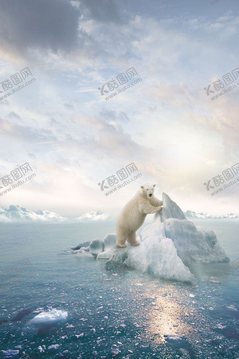 编号：91879407031401137557【酷图网】源文件下载-保护动物