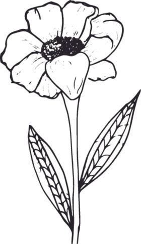 花卉元素