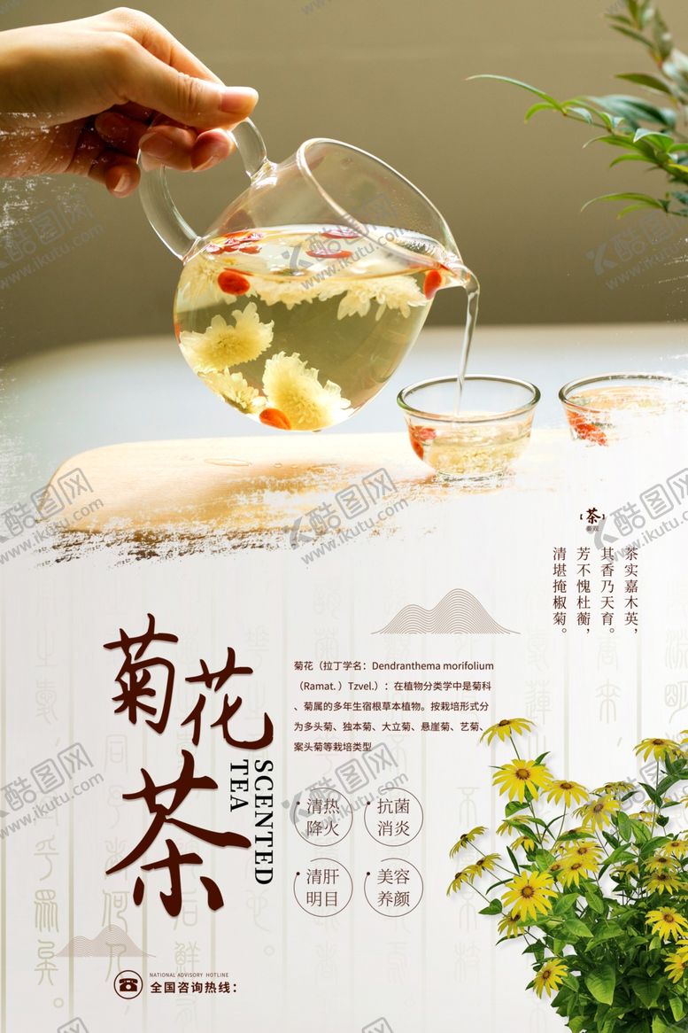 编号：46993910301320337217【酷图网】源文件下载-菊花茶