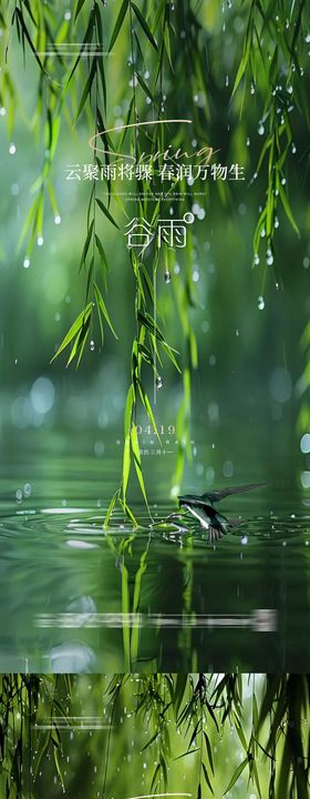 谷雨海报