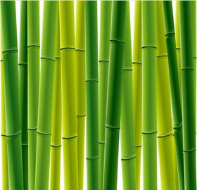 矢量动物矢量植物插画手绘