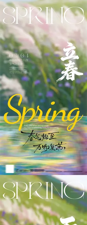 立春雨水节气简约摄影海报