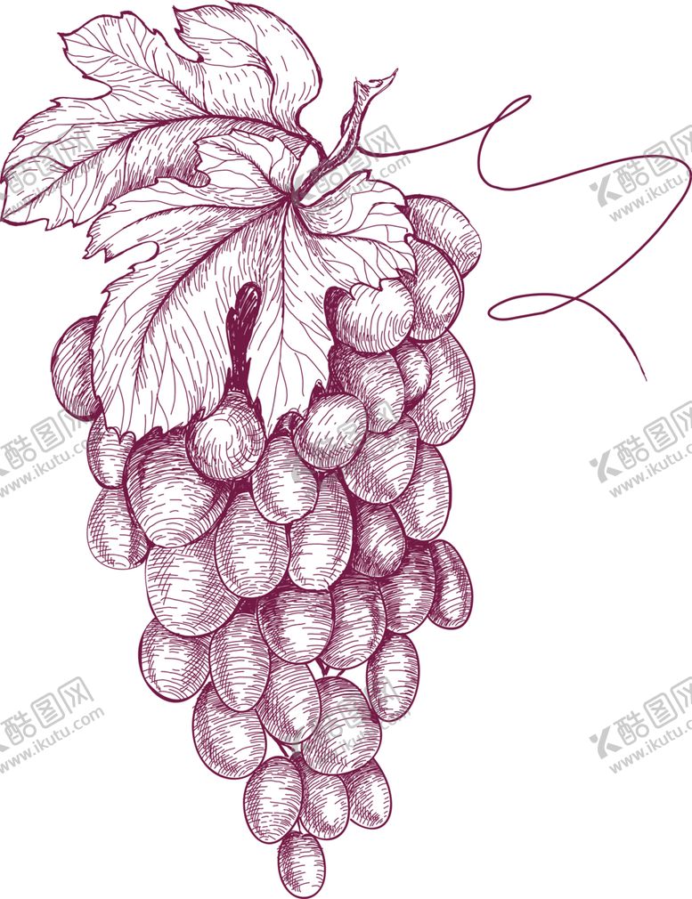 编号：44854310050727329444【酷图网】源文件下载-水果