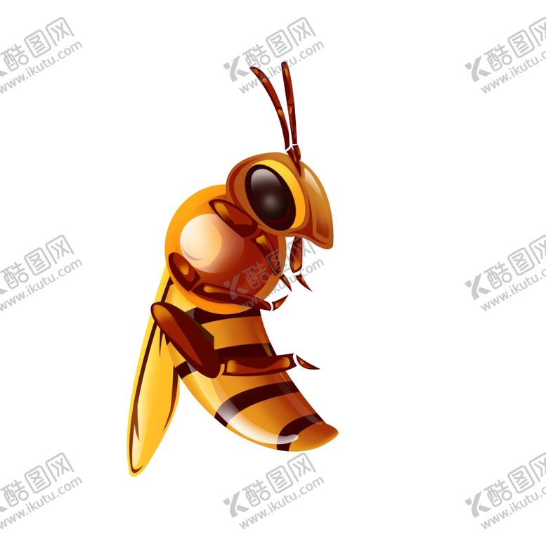 编号：52656106240751058993【酷图网】源文件下载-蜜蜂昆虫插画图片