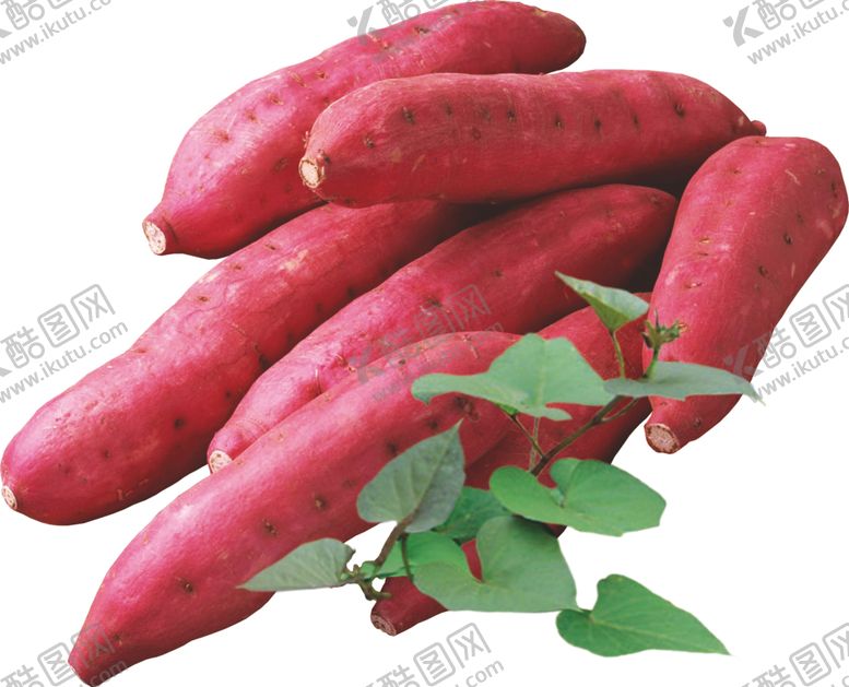 编号：87431710081556232952【酷图网】源文件下载-高清免扣分层红薯素材