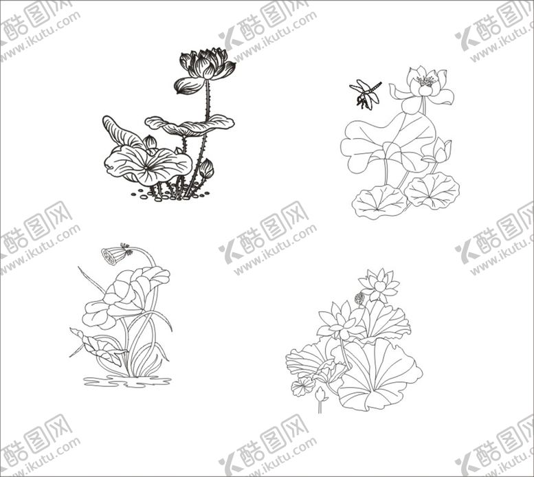 编号：43733202040236158028【酷图网】源文件下载-矢量荷花