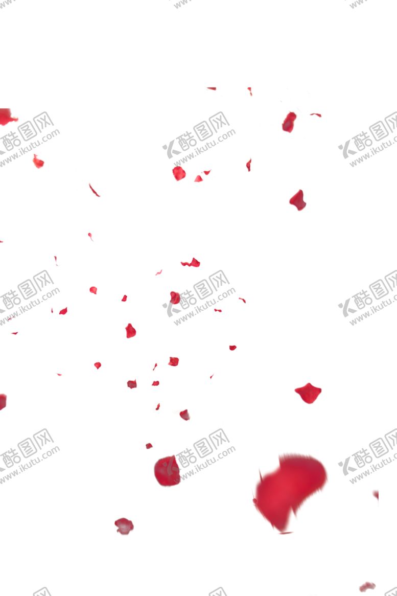 编号：91272906232035411895【酷图网】源文件下载-飘落的花瓣