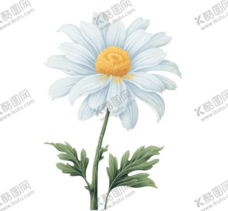 编号：42469309262003272956【酷图网】源文件下载-葵花菊花