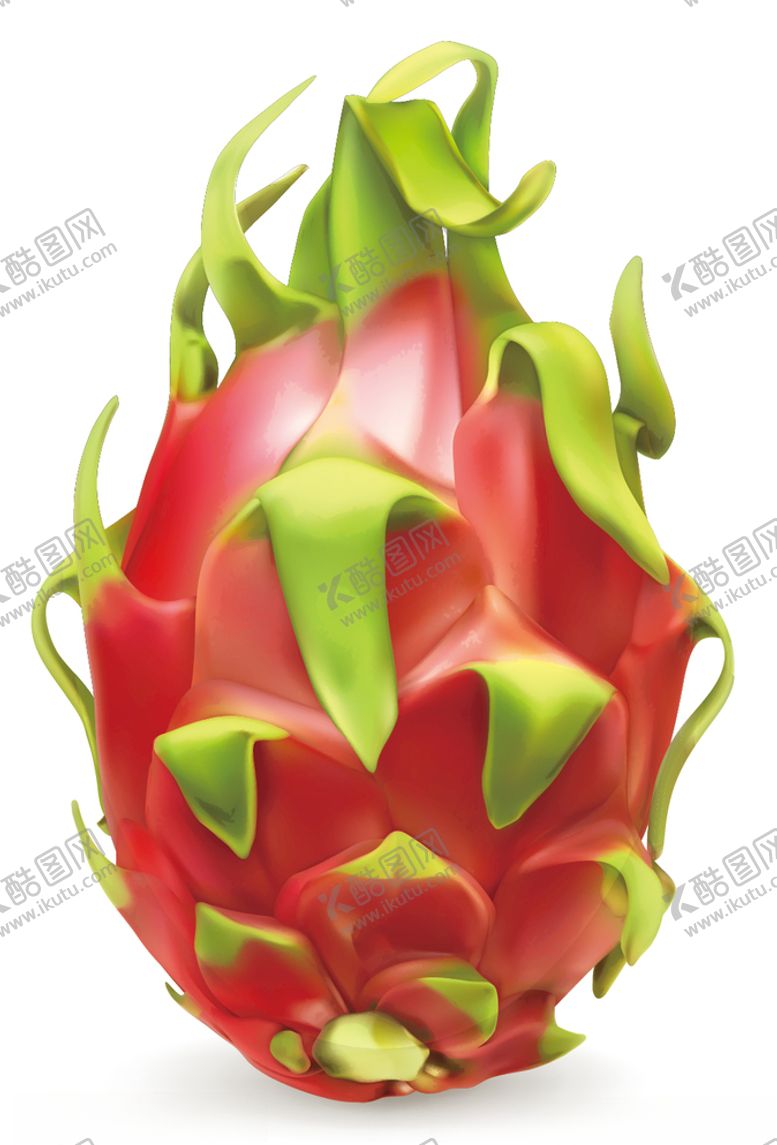 编号：69360509132101491759【酷图网】源文件下载-火龙果矢量素材