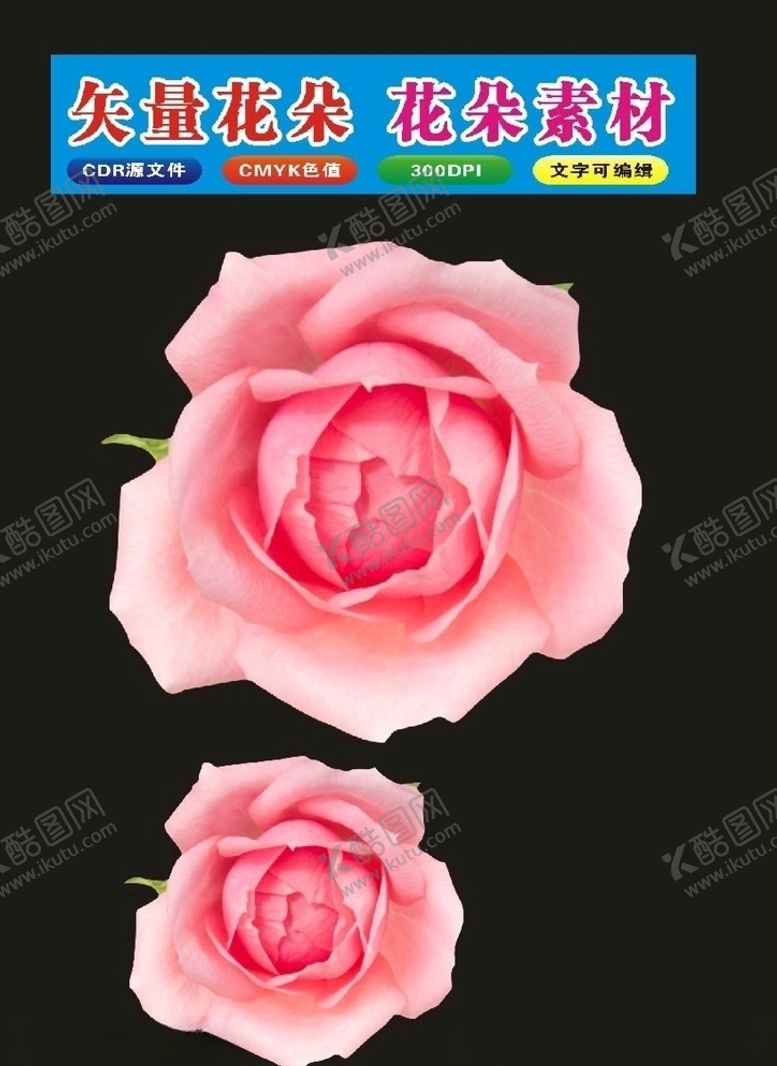 编号：84782710210349322135【酷图网】源文件下载-植物学花朵制作