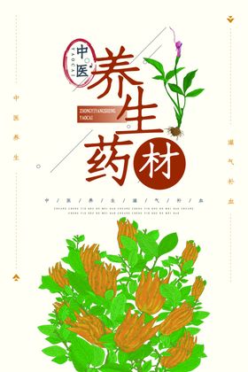 养生药材