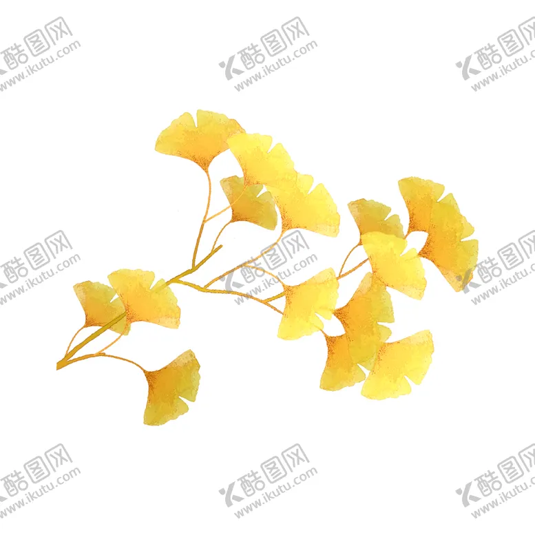 编号：35263404230924598353【酷图网】源文件下载-秋天银杏叶