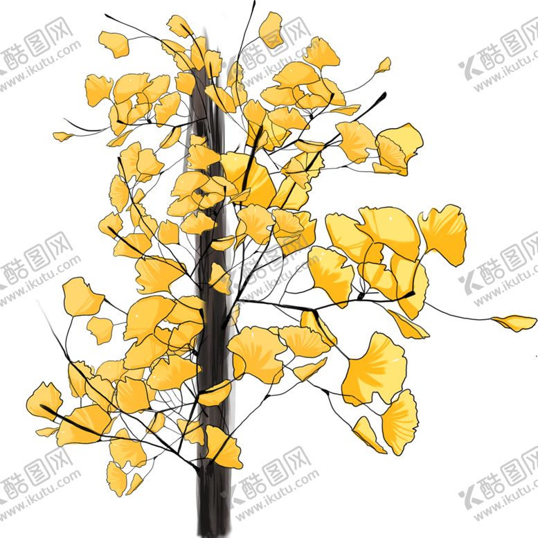 编号：28591309281252461937【酷图网】源文件下载-秋天银杏叶