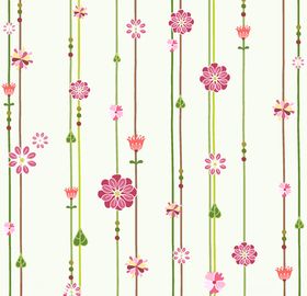 白色藤曼花