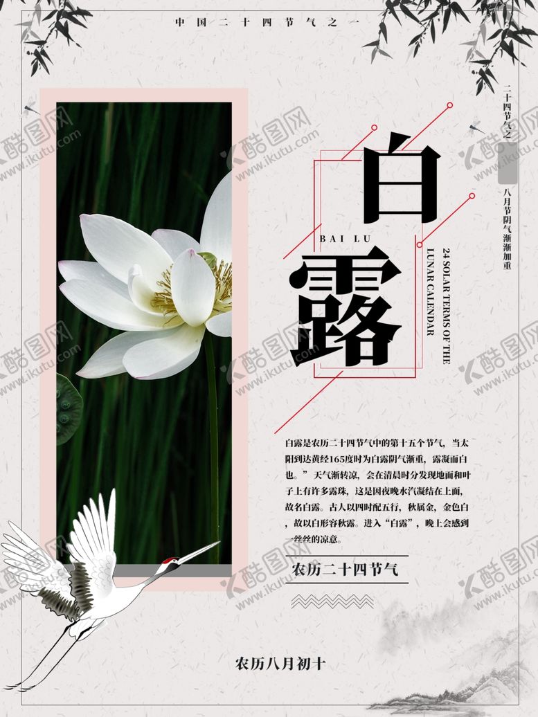 编号：55473009240200374032【酷图网】源文件下载-白露