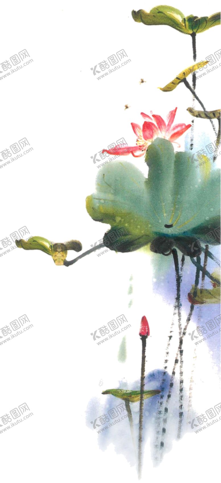 编号：97117005062022483754【酷图网】源文件下载-水墨荷花粉色荷花荷花意境