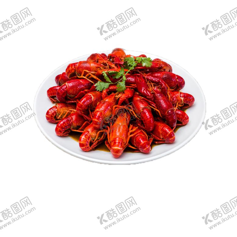 编号：38326010290211526779【酷图网】源文件下载-龙虾