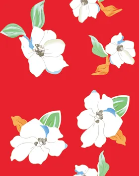 大牌花