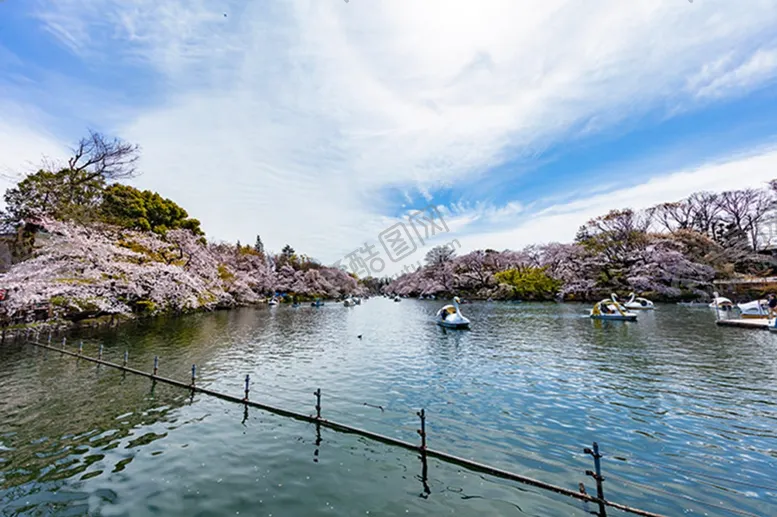 编号：49812306261144137537【酷图网】源文件下载-桃花山水画春天