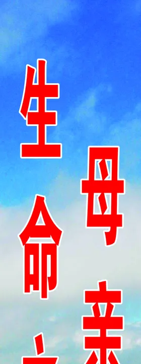 工程标语