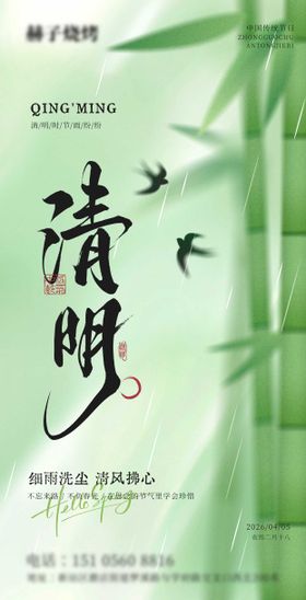 清明节气春天绿色春雨海报