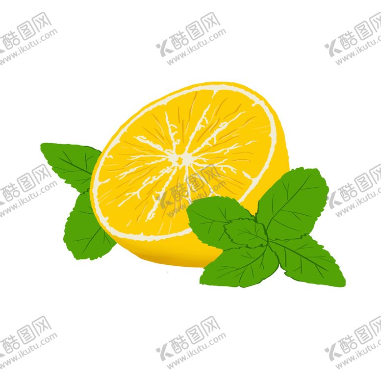编号：66737605132244117387【酷图网】源文件下载-薄荷植物元素