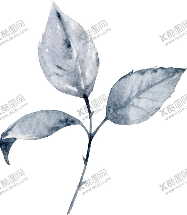 编号：42165106250307589953【酷图网】源文件下载-水彩绘画花朵树枝装饰