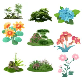 花卉绿植植物开