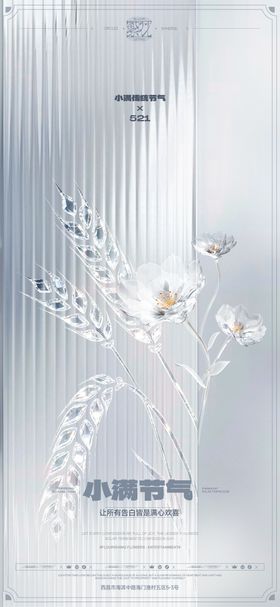 小满节气海报