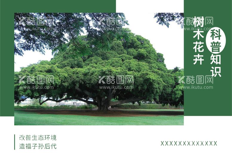 编号：21356709141828565069【酷图网】源文件下载-画册封面植物简约