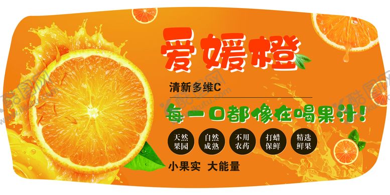 编号：96543709120227048176【酷图网】源文件下载-爱媛橙