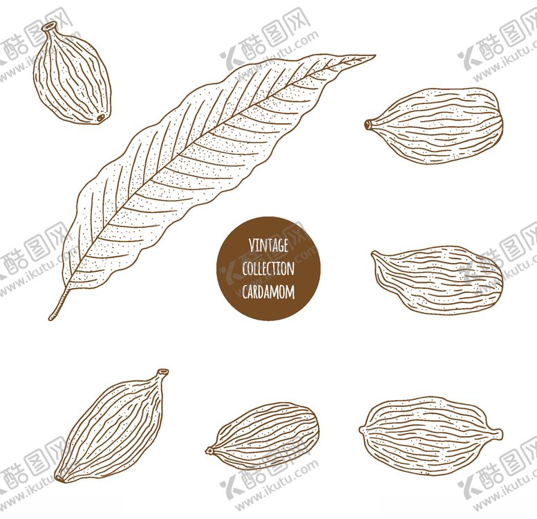 编号：43539807021156381685【酷图网】源文件下载-植物线稿