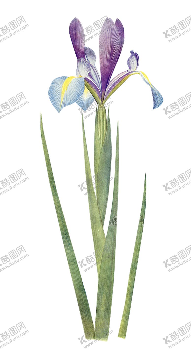 编号：99612207052104251013【酷图网】源文件下载-绿色植物