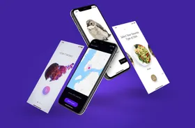 APP引导页样机网站组件界面后台